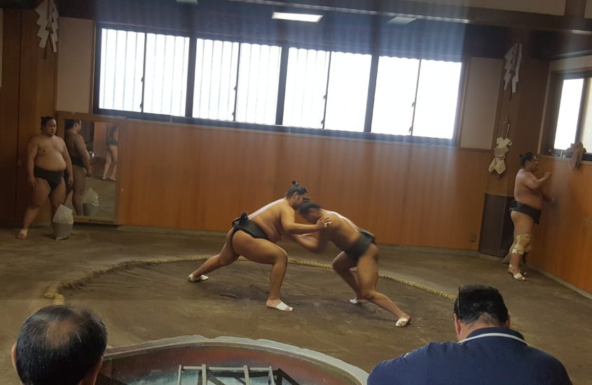 The Guide to Watching Sumo in Japan