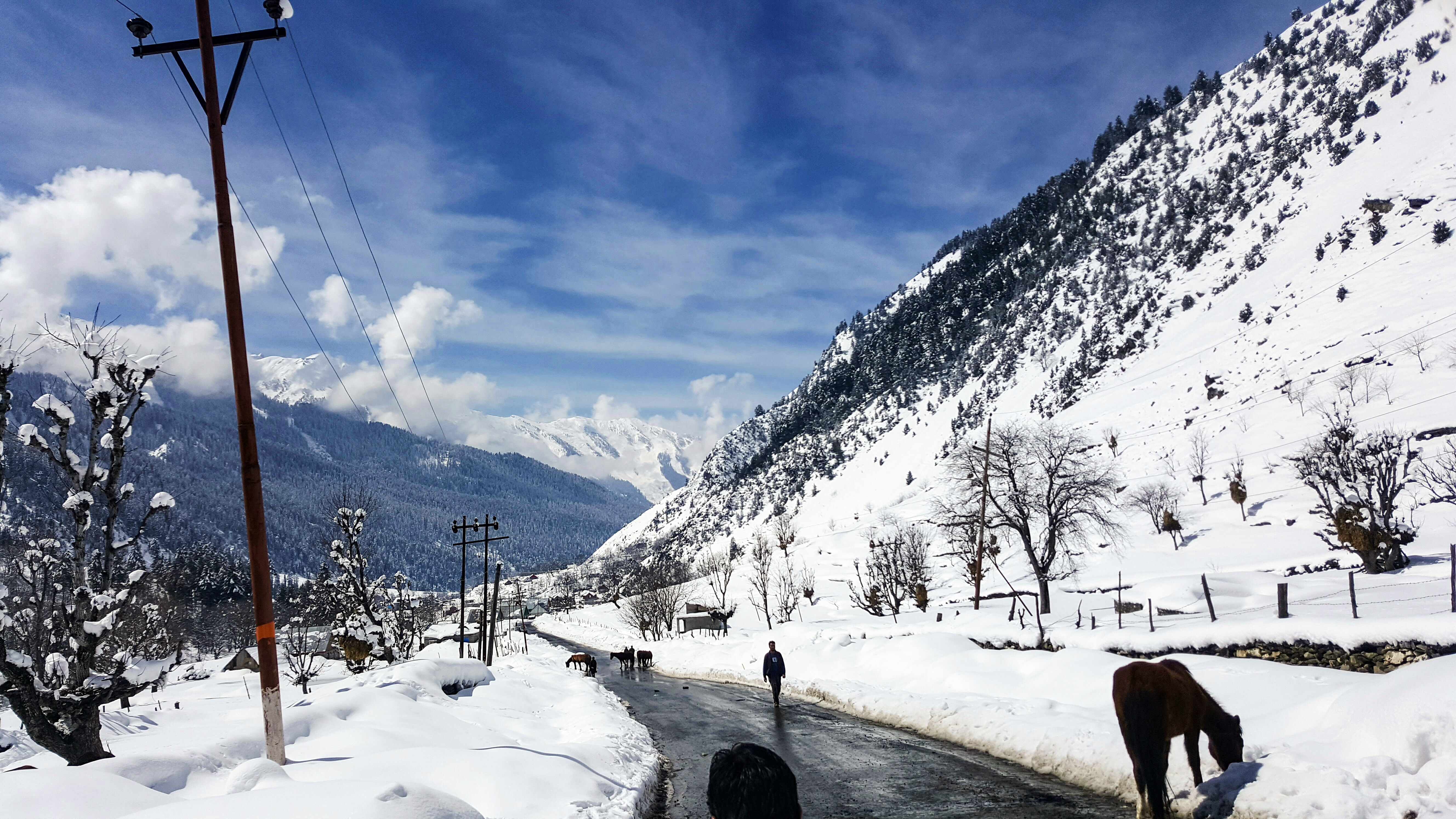 places to visit in srinagar in winter